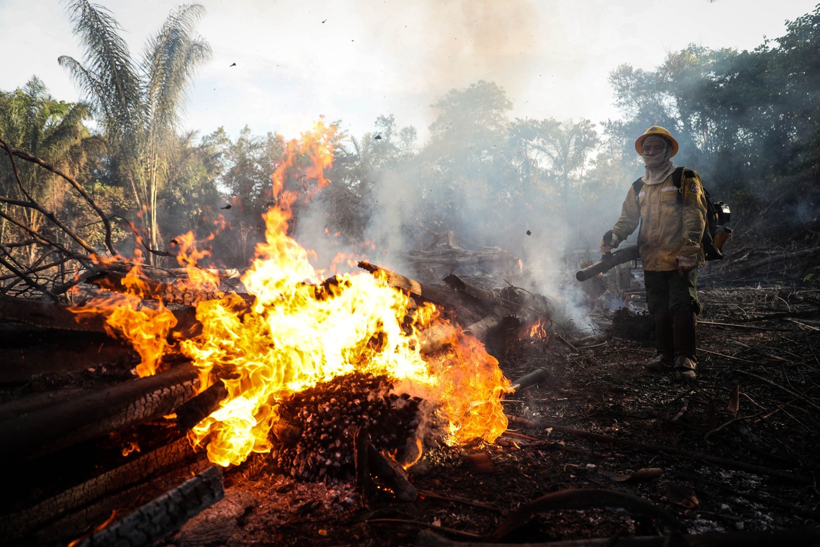 A litigância climática poderá salvar a Amazônia brasileira?