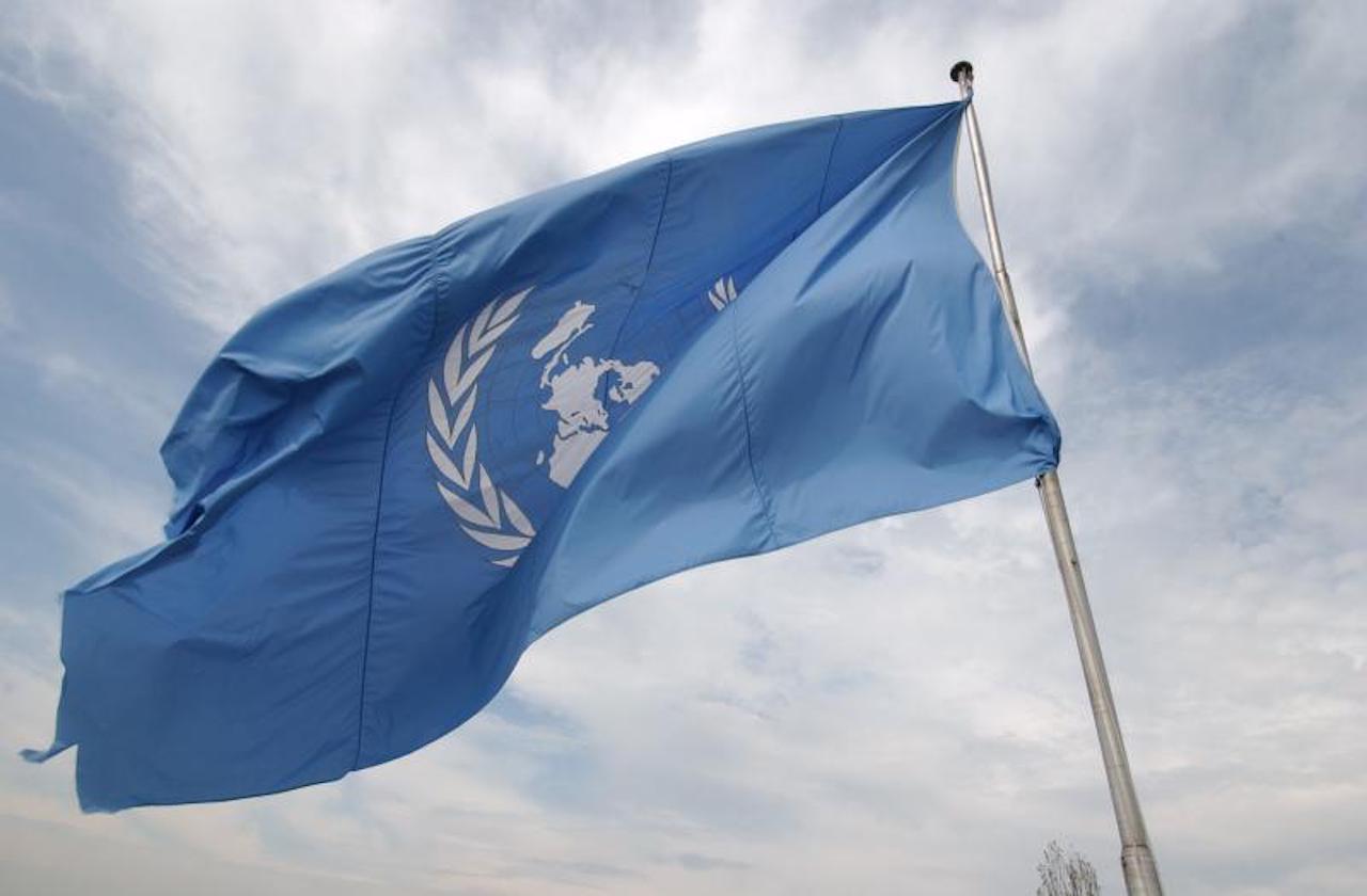 Orden a partir del caos: ¿es la ONU una amiga o una enemiga?